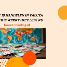 Wat is handelen in valuta en hoe werkt het? Lees nu (2025)